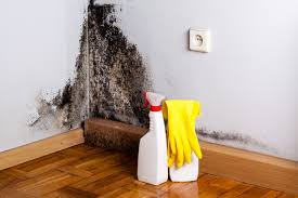 Mold Odor Removal Services in Shelbina, MO